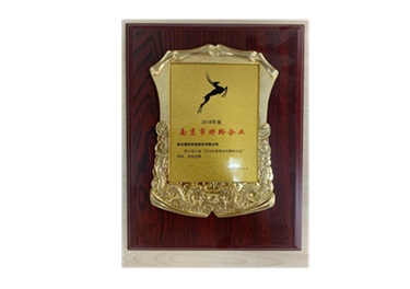 南京市瞪羚企業